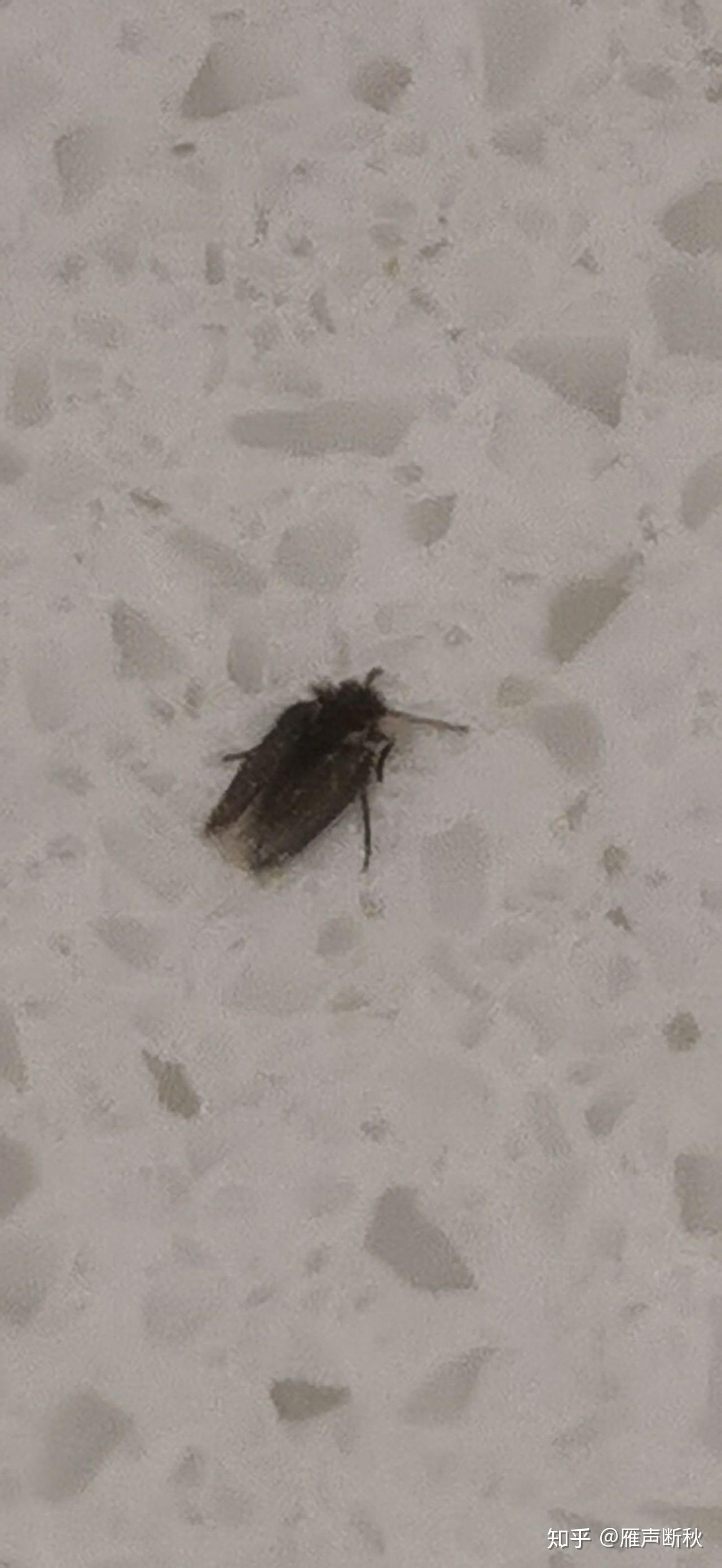 娱乐生活 第264页
